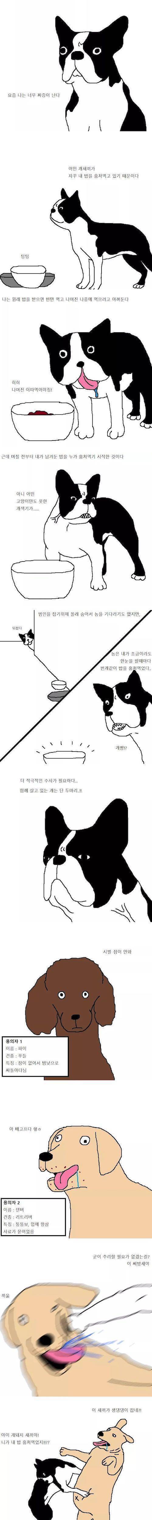 개밥 도둑 찾는 만화.gif