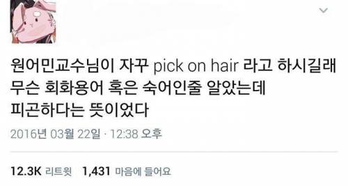 원어민교수님의 hair.jpg