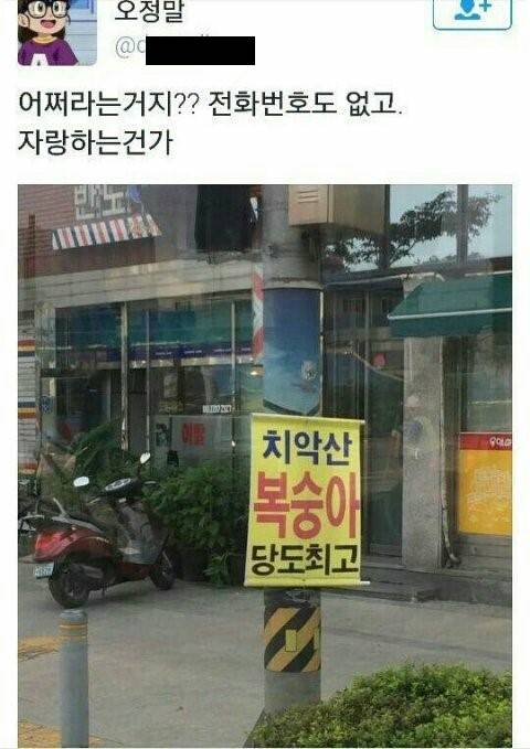 흔한 자랑.jpg