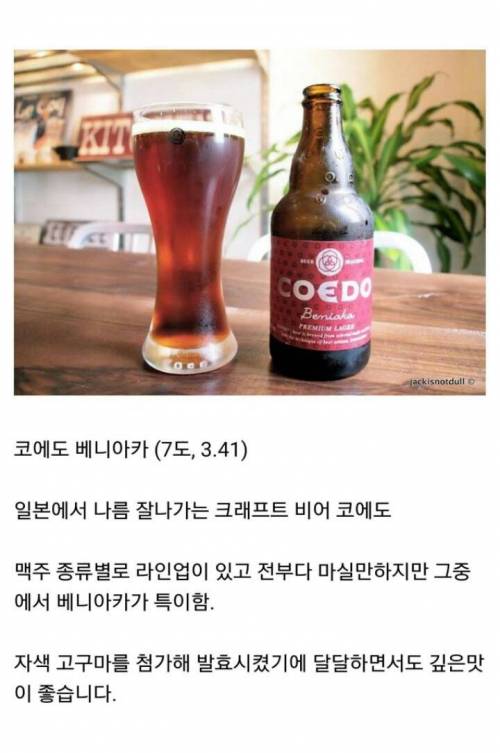 맥주 덕후들이 추천하는 맥주