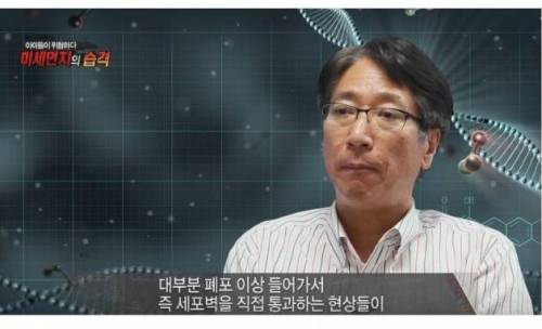 미세먼지가 위험한 진짜 이유