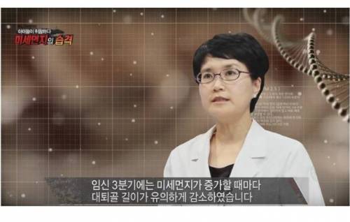 미세먼지가 위험한 진짜 이유