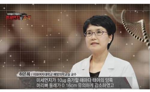 미세먼지가 위험한 진짜 이유