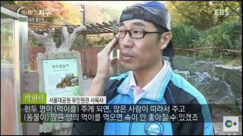 동물원 동물들의 월요병.jpg