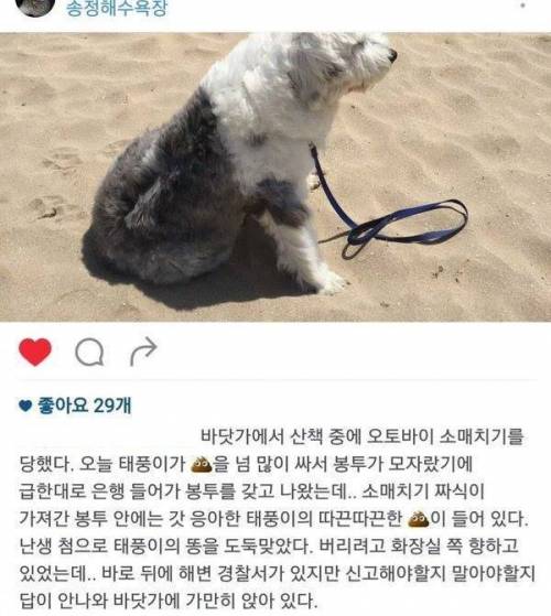 XX 훔친 소매치기범.jpg