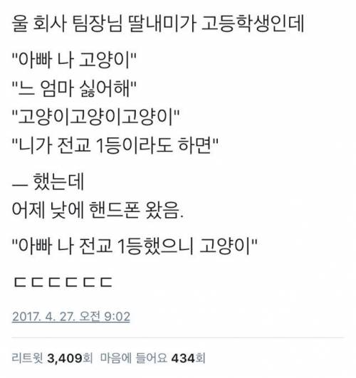 한국에서는 고양이가 전교 1등을 만듭니다