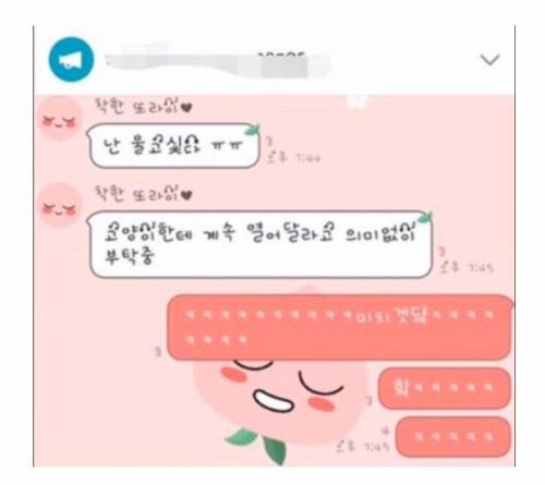 고양이가 문을 잠궜어요