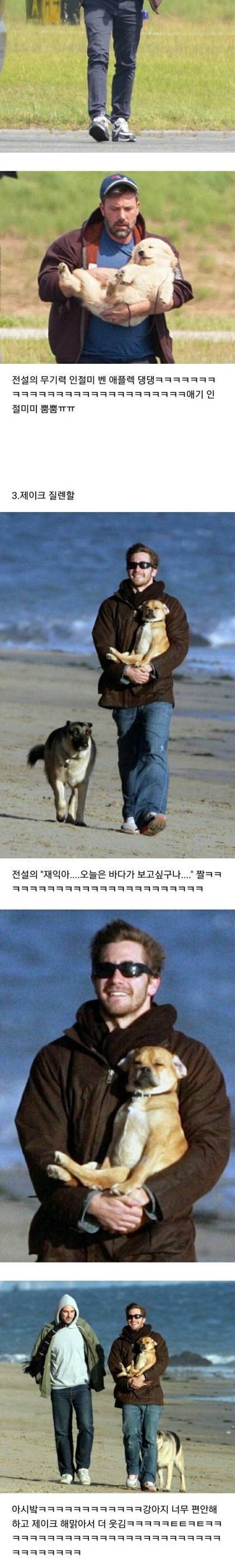 헐리웃 스타들의 반려견 안는법