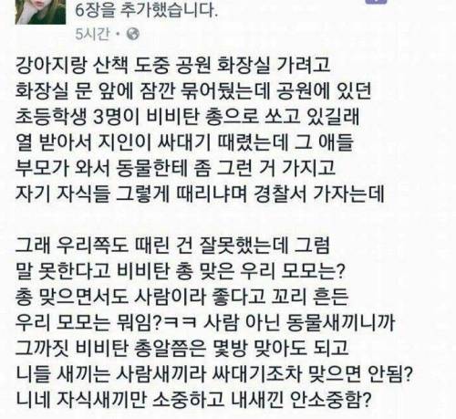 강아지한테 비비탄총 쏴서 싸대기맞은 초딩