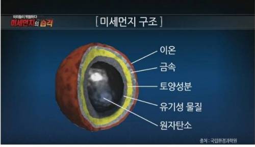 미세먼지가 위험한 진짜 이유