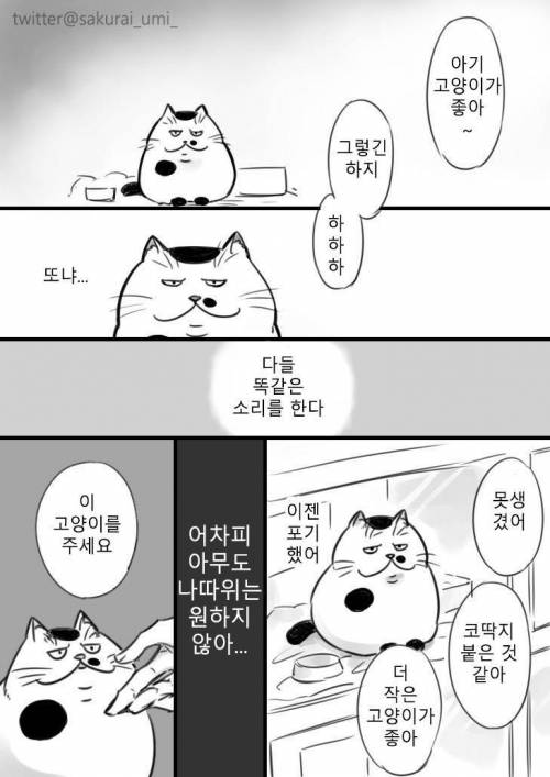 아저씨와 고양이.jpg