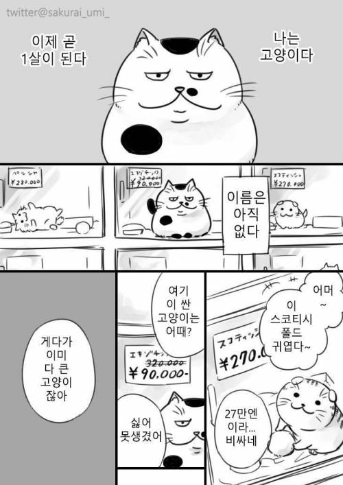 아저씨와 고양이.jpg