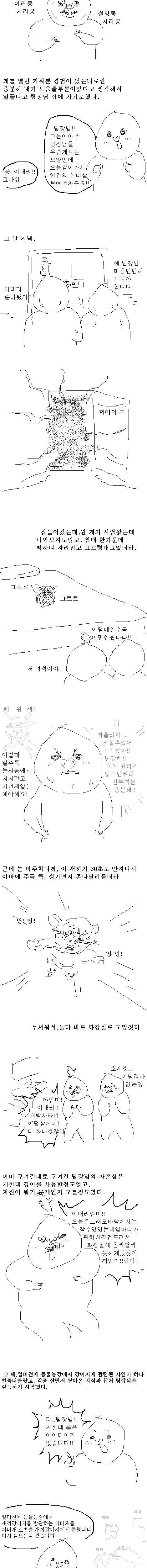 팀장님 친누나가 잠시 맡긴 강아지.jpg