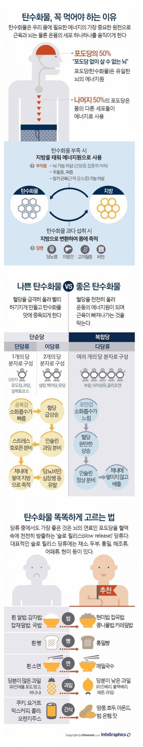 탄수화물을 꼭 먹어야 하는 이유