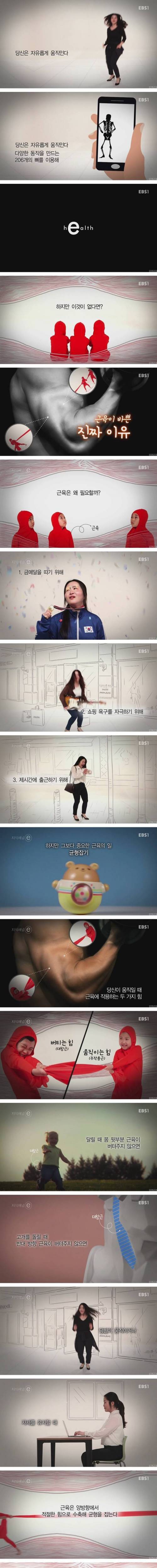 근육이 바쁜 진짜 이유.jpg