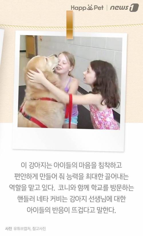 우리 학교엔 ‘강아지 선생님’이 있어요 ~