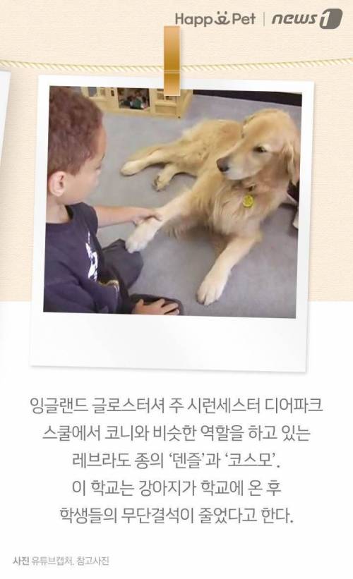 우리 학교엔 ‘강아지 선생님’이 있어요 ~