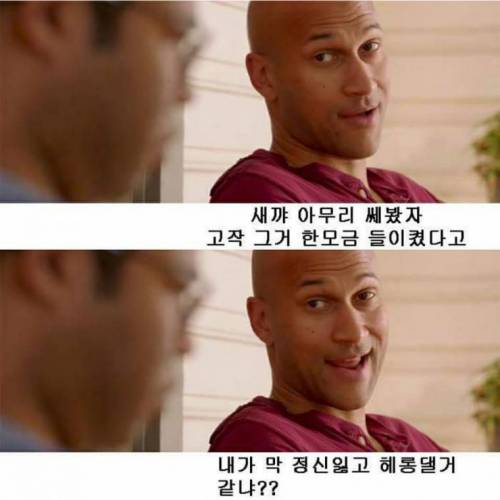 대마초의 위험성.jpg