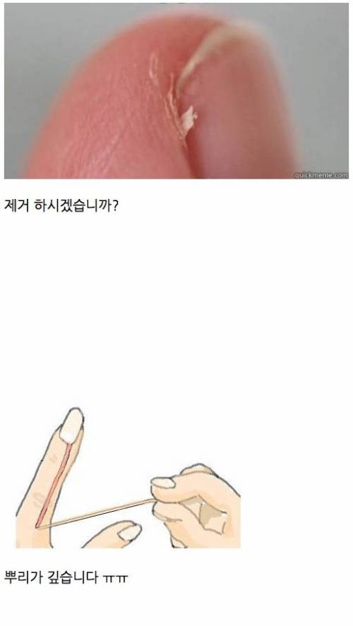 악마이 새싹.jpg