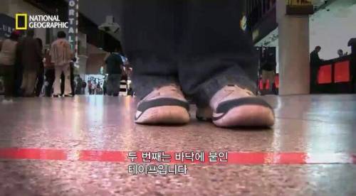 타인에게 동조하는 행동