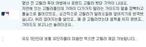 고릴라는 유도 유단자 선에서 정리 가능