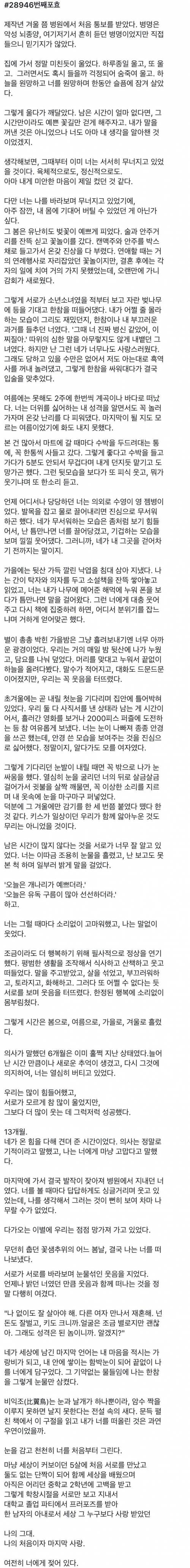 고려대 대숲에 올라온 글