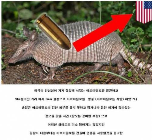 사냥 갔다가 장모님 헌팅한 썰