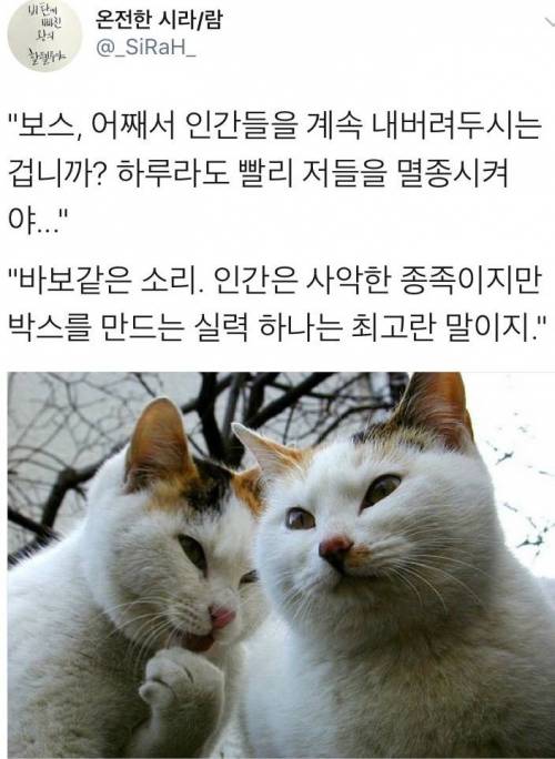 보스 어째서 인간들을 계속 내버려두시는 겁니까.jpg