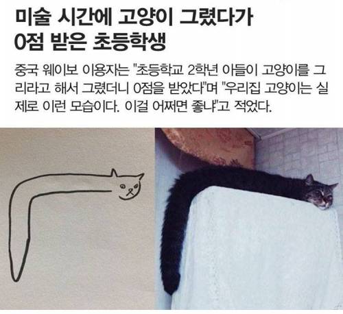 미술시간 0점 받은 고양이 그림.jpg