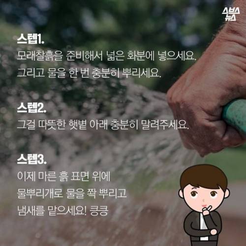 비가 오면 청량함을 주는 냄새의 정체