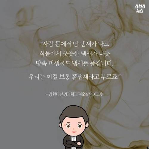 비가 오면 청량함을 주는 냄새의 정체