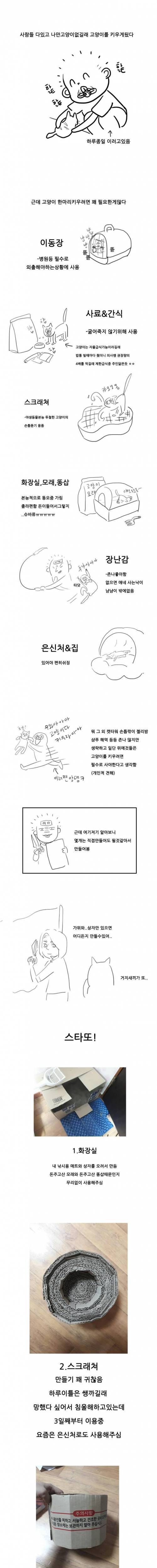 냥이용품 직접만드는 만화.manhwa