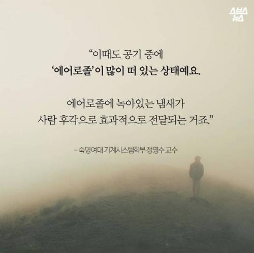 비가 오면 청량함을 주는 냄새의 정체