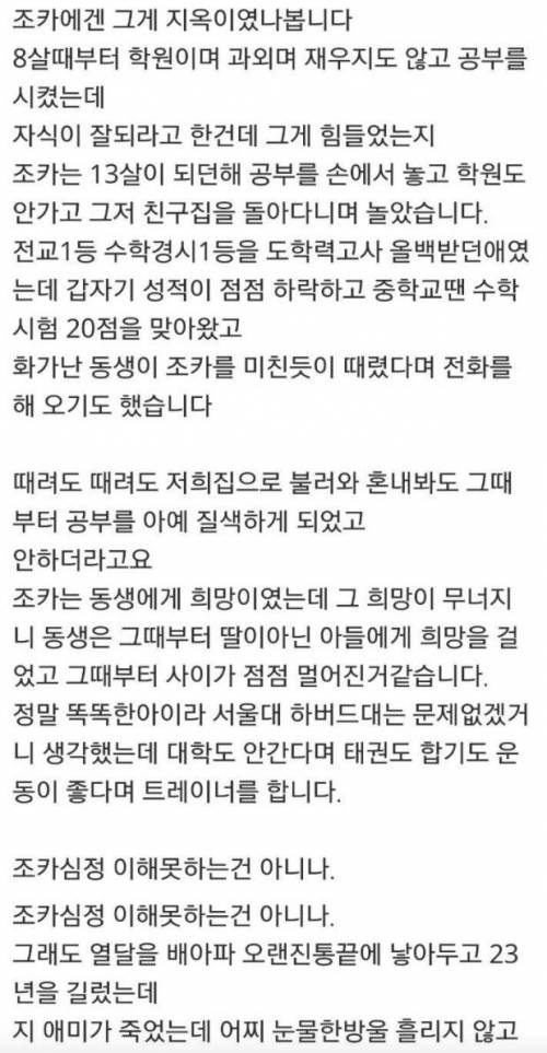 23살 조카가 미친 것 같습니다