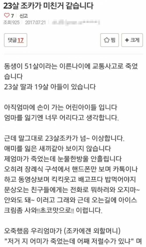 23살 조카가 미친 것 같습니다