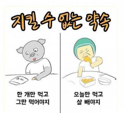 우리가 다이어트를 못하는 이유