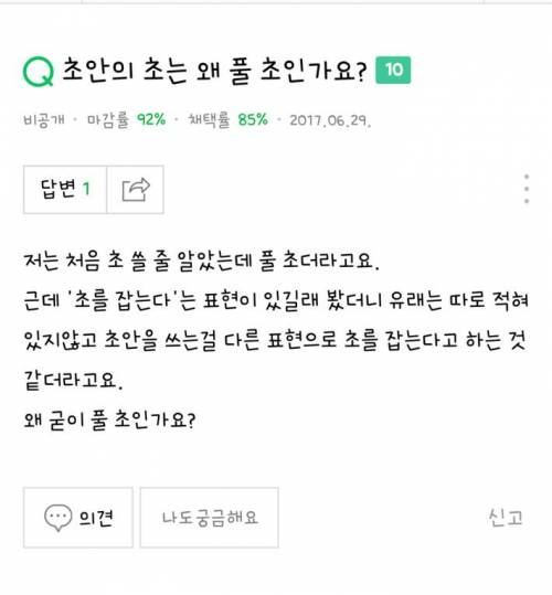 초안의 초는 왜 풀 초인가요?.jpg