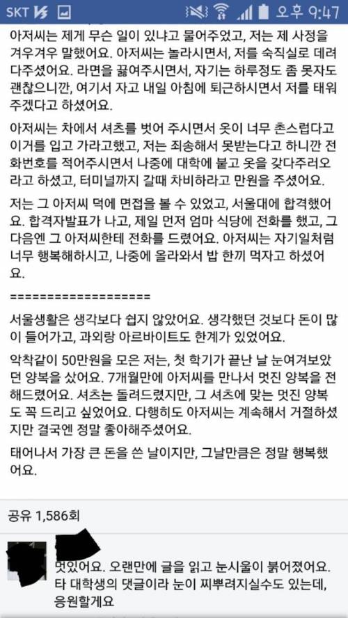 서울대 대나무숲 아직은 그래도 살만한 세상