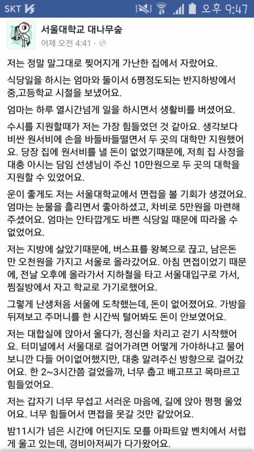 서울대 대나무숲 아직은 그래도 살만한 세상