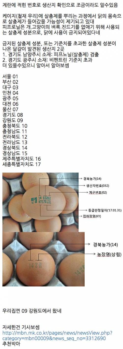 살충제 계란 식별번호로 알수있다.jpg