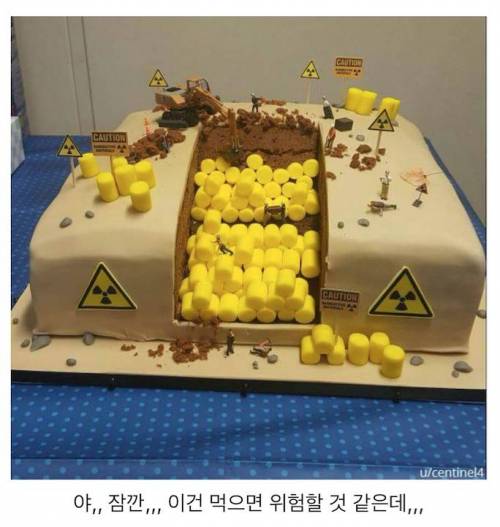 방사성 페기물 관리자의 생일케이크.jpg