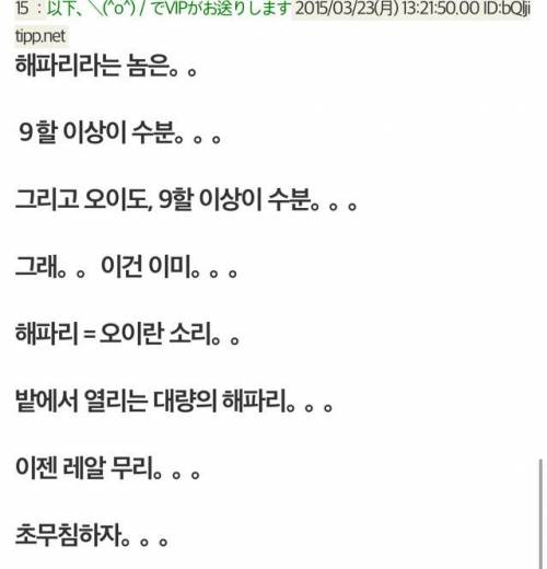 해파리의 98％는 수분