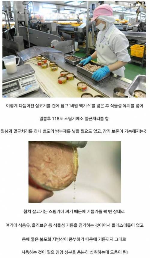 참치캔이 만들어지는 과정