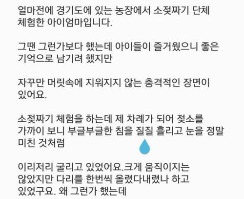 소젖짜기 체험에서 충격받은 아이엄마