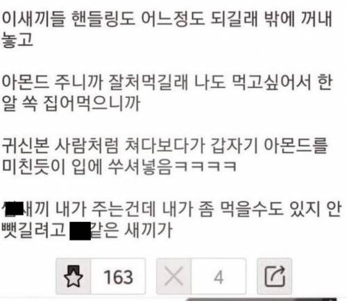 햄스터 먹이주다가 빡친 주인