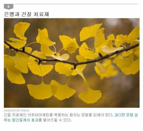 이 약과 과일은 절대 함께 먹으면 안 된다.