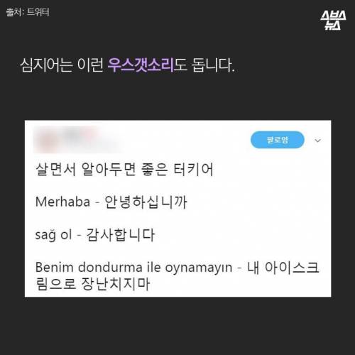 터키식 아이스크림 판매 문화 .jpg