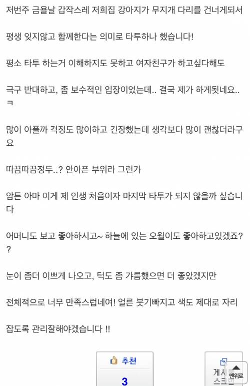 인벤러의 첫 타투 후기.jpg