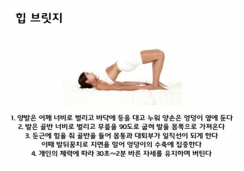 살 빨리 빠지는 버티기 운동들.jpg