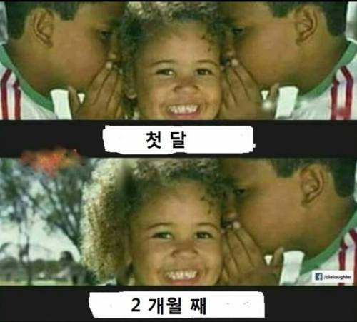 싸구려 이어폰 특징.jpg